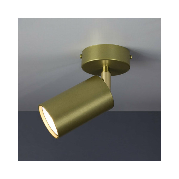 Светильник поворотный, спот Imperium Light 591145.12.12 Accent