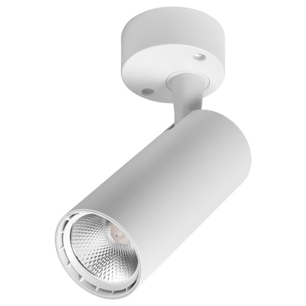 Настенно-потолочный поворотный светильник Delux TL02S 10Вт 4000K 36° белый (90015886)