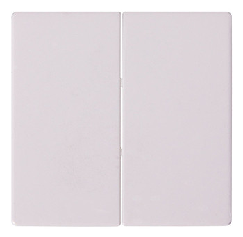 Двойная клавиша E.Next e.lux.11021L.pn.white белая (ins0040017)