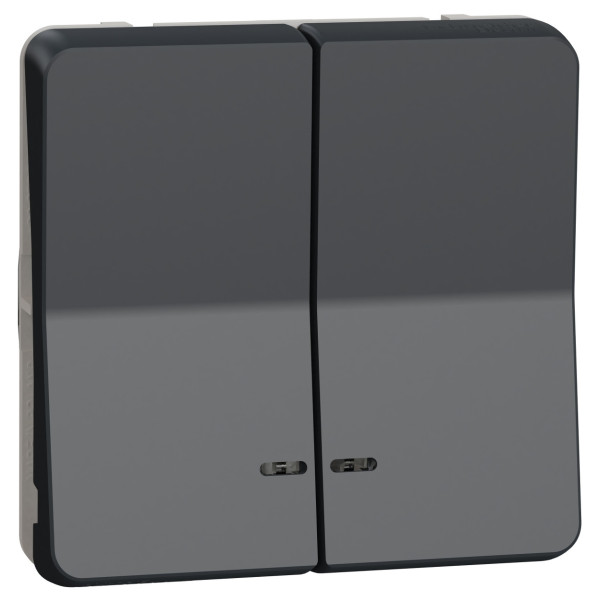 Двоклавішний кнопковий вимикач Schneider Electric MUR35228 з підсвічуванням IP55 (чорний)