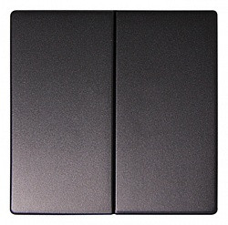 Двойная клавиша E.Next e.lux.11021L.pn.anthracite антрацит (ins0040020)
