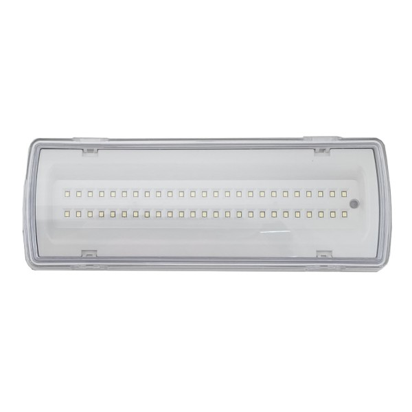 Евакуаційний світильник TNSy UJ02-50LED-4W-6500K-3H-400L-IP65 (TNSy5000560)