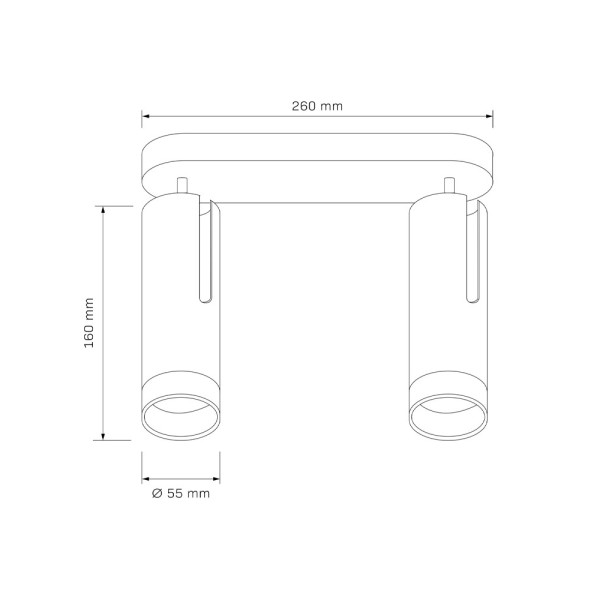 Светильник поворотный, спот Goldlux 326492 Fado GU10 2x10W IP20 Черный - фото №1