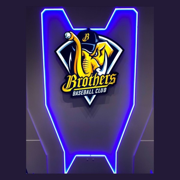 LED стрічка Smart SPI COLORS 60-5050-12V-IP20 4000K 8.4W 5м (DS560-12V-10mm-NW) - фото №3