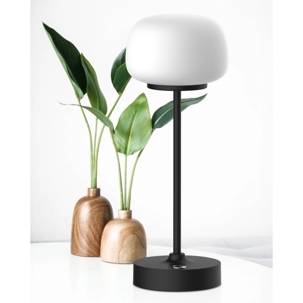 Настольная лампа с аккумулятором Goldlux 329875 Rimini LED 1x1.8W 2700K 150Lm IP20 черная - фото №1