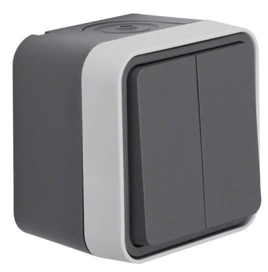 Выключатель 2-клавишный серый Berker W.1