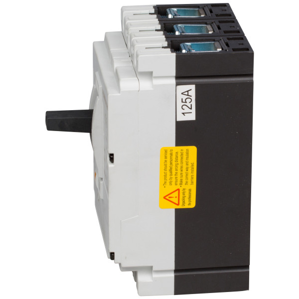 Автоматичний вимикач в литому корпусі типу Schrack MZ112431B 36кА 125А 3P - фото №2