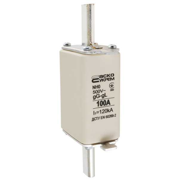 Запобіжник Аско-Укрем NH0 100A gG (A0050010024) - фото №1