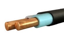 Кабель ВВГнг-П 2х1,5 Одескабель - фото №1