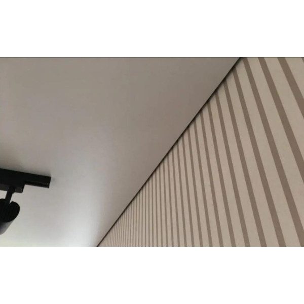 Профиль теневого шва для потолка 10х20, 3 метра (LPT10) - фото №2