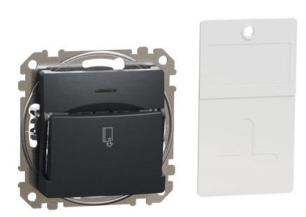 Картковий вимикач Schneider Electric Sedna Design & Elements чорний SDD114121 - фото №1