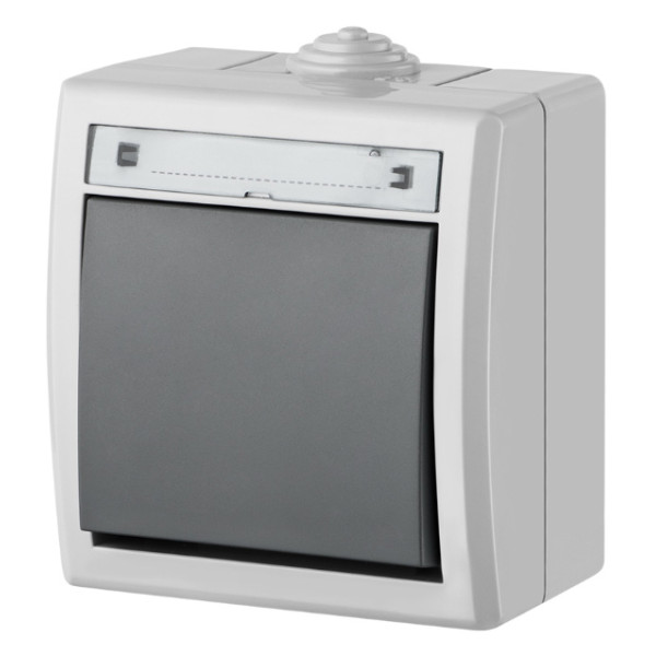 Одноклавішний вимикач Elektro-Plast Aquant 1201-10 (сірий)