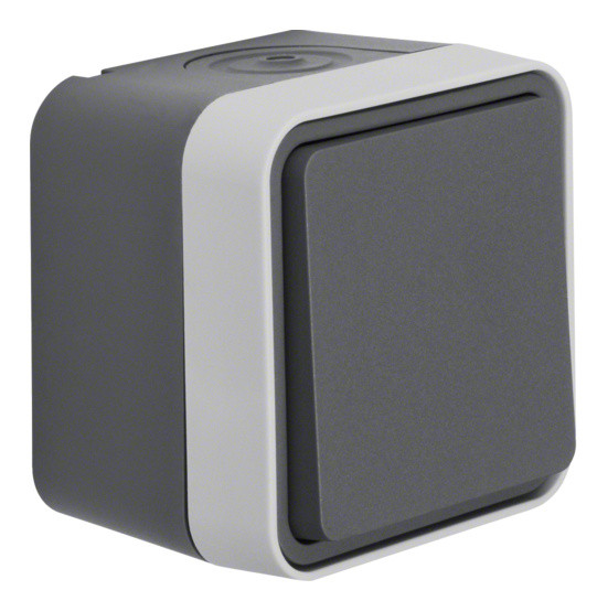 Выключатель проходной серый Berker W.1