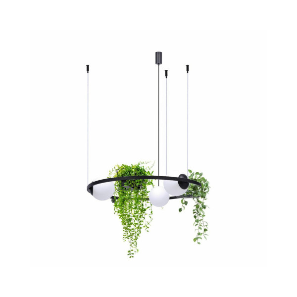 Люстра Zuma Line 5005 Plant E27 3x40W IP20 Чорна - фото №2