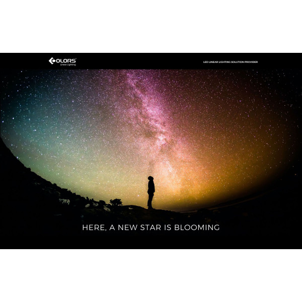 LED стрічка COLORS Chip-24V-IP20 8.8W 1040Lm 4000K 5м (FD128-24v-8mm-NW) - фото №2