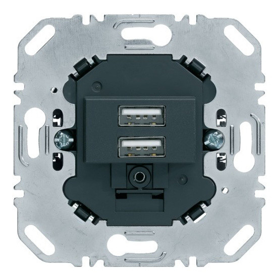 Двойная USB розетка Berker 260205 (антрацит)