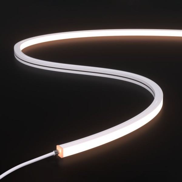 Гнучкий неон COLORS 24V-IP65 8,8W 550Lm 2700K 5м (NJT1010-SW)