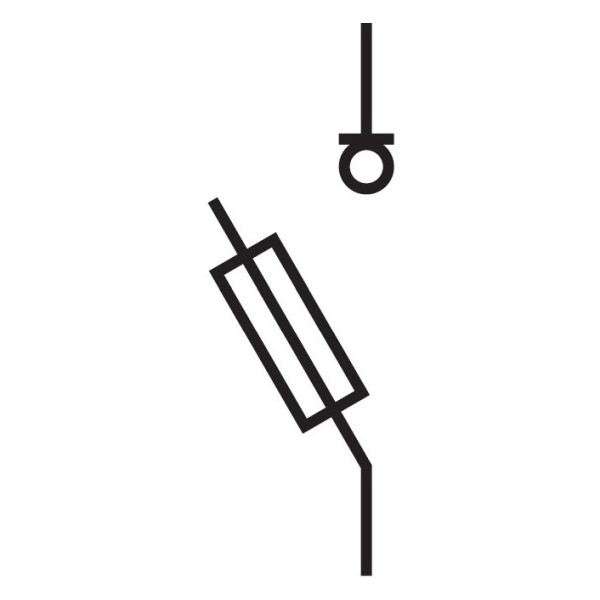 Отключаемый держатель предохранителя Schrack ISF53010 D02 10А 1P - фото №1