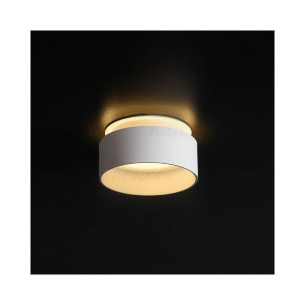 Точечный светильник Kanlux 29231 Govik GU5.3/GU10 1x10W IP20 - фото №1