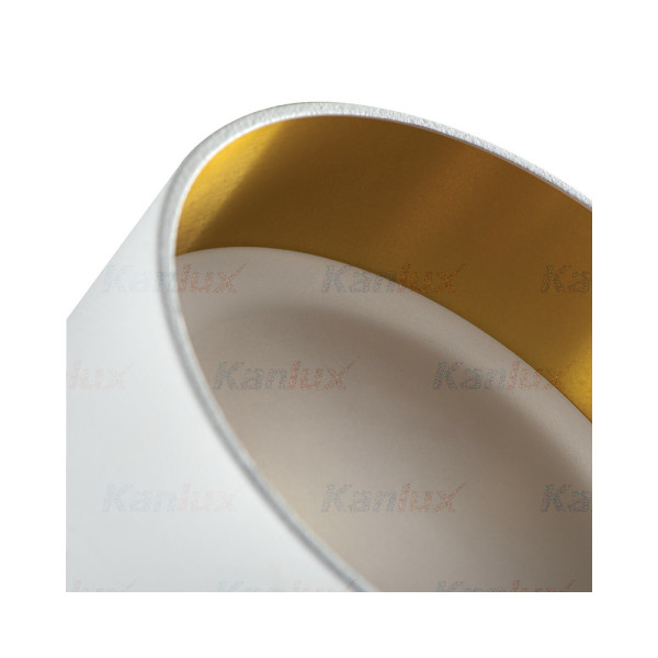 Точечный светильник Kanlux 29231 Govik GU5.3/GU10 1x10W IP20 - фото №2