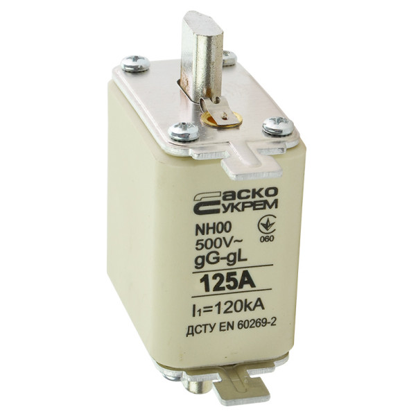 Запобіжник Аско-Укрем NH00 125A gG (A0050010016) - фото №1