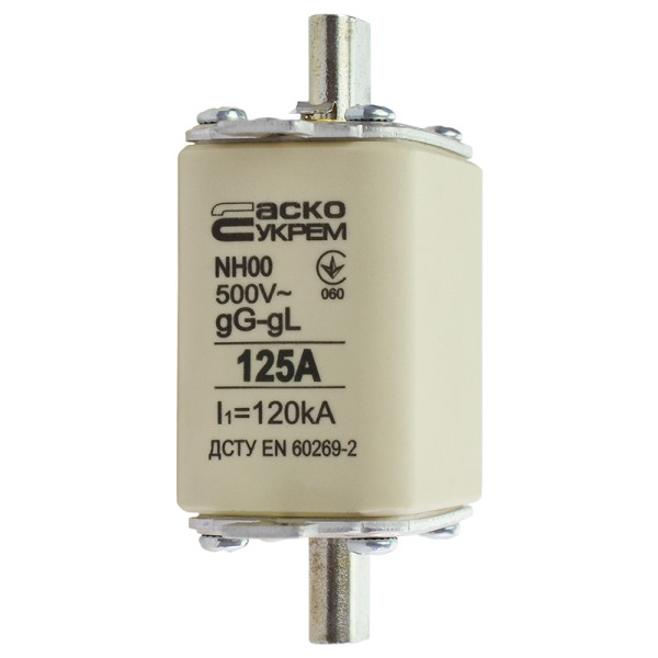 Запобіжник Аско-Укрем NH00 125A gG (A0050010016) - фото №2