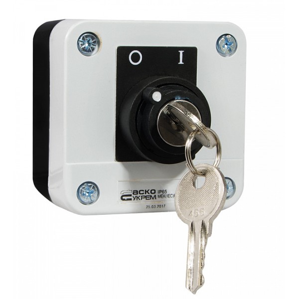 Одноместный пост Аско-Укрем XAL-B142Н29 с переключателем 0-1 и ключом (A0140020013) - фото №1