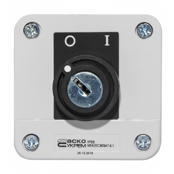 Одноместный пост Аско-Укрем XAL-B142Н29 с переключателем 0-1 и ключом (A0140020013) - фото №3