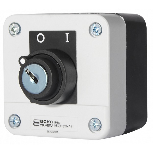 Одноместный пост Аско-Укрем XAL-B142Н29 с переключателем 0-1 и ключом (A0140020013) - фото №4