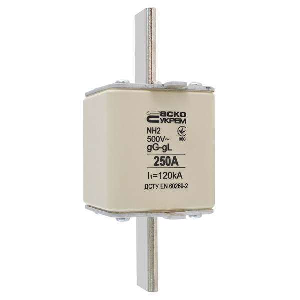 Запобіжник Аско-Укрем NH2 250A gG (A0050010035) - фото №2