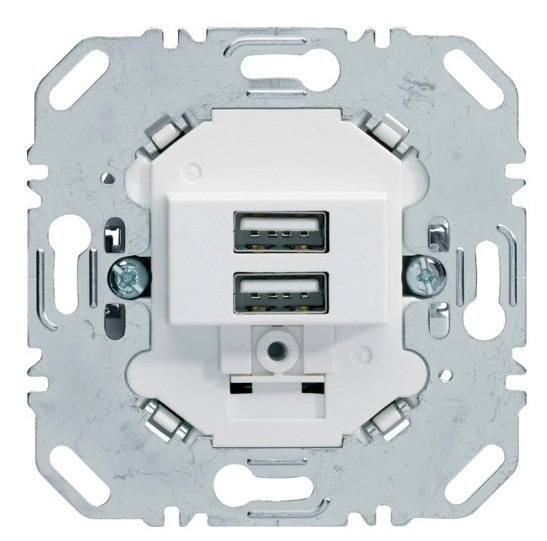 Двойная USB розетка Berker 260209