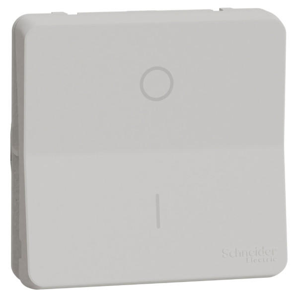 Двополюсний вимикач Schneider Electric MUR39033 IP55 (білий)