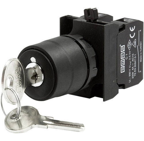 Кнопка EMAS CP101AC30 с ключом вынимающимся во всех положениях (1НО+1НЗ) IP65