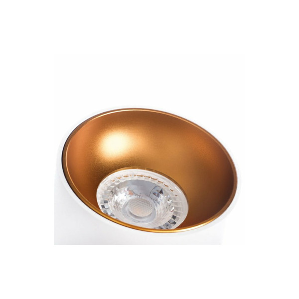 Точечный светильник Kanlux 27570 Riti GU10 W/G - фото №1