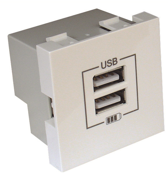 Механизм двойной USB розетки Logus 45439 SBR CHARGER TYPE «A» (белый)