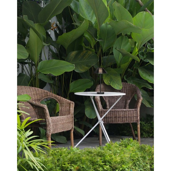 Светильник уличный портативный Goldlux 329905 Serengeti LED 1x3.4W 2700K 270Lm IP44 черный - фото №1