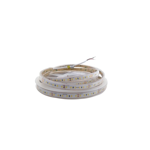 LED стрічка RISHANG 120-2835-24V-IP20 9.6W Blue 5м (RV08C0TC-A-B) - фото №1