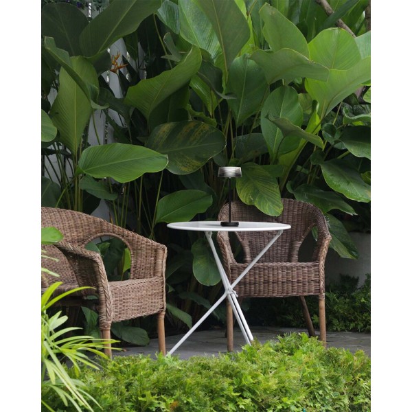 Светильник уличный портативный Goldlux 329899 Casablanca LED 1x3.4W 2700K 270Lm IP44 черный - фото №1