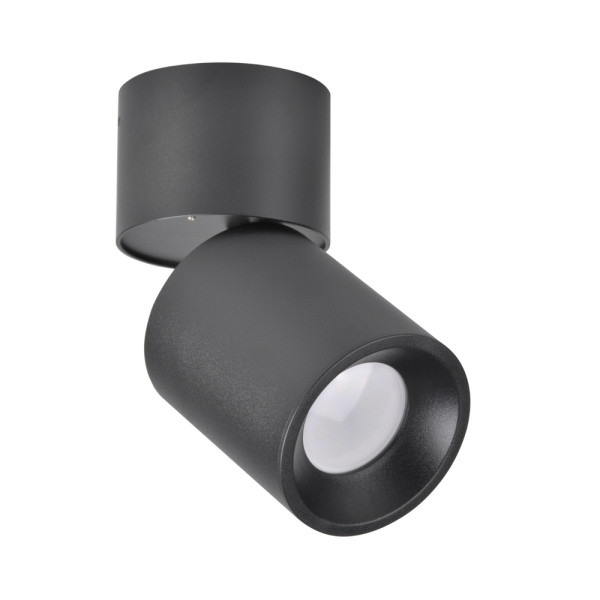 Точечный светильник Goldlux 314246 Nixa GU10 1x10W IP20 BK