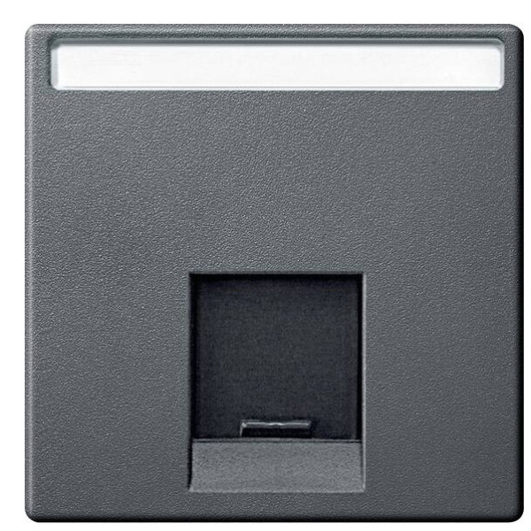 Центральная панель компьютерной розетки антрацит Merten, MTN465814