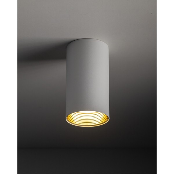 Точковий світильник TK Lighting 10719 Amis GU10 1x10W IP20 білий - фото №1