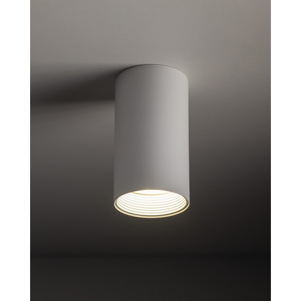 Точковий світильник TK Lighting 10719 Amis GU10 1x10W IP20 білий - фото №2