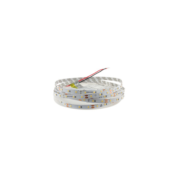 LED лента RISHANG 60-2835-12V-IP20 4.8W 3000 5м (RV0860TA-WW)