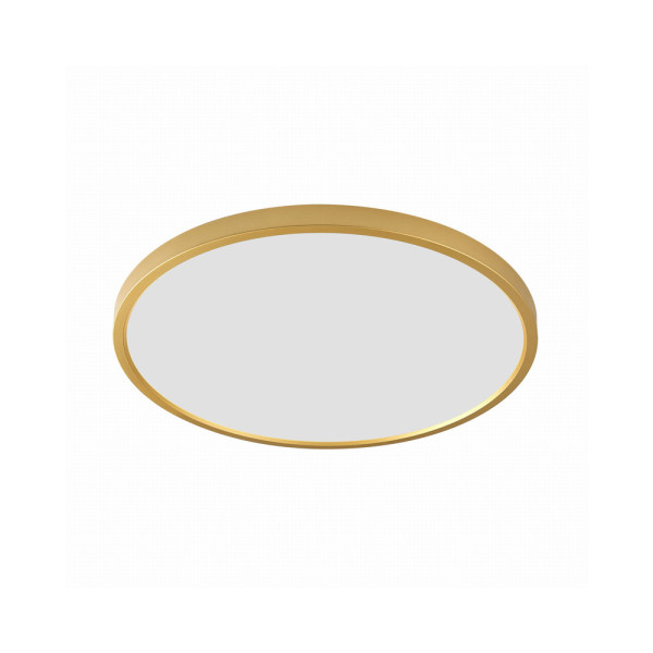 Світильник стельовий Zuma Line WM-BP1108-L-G Cami Led 1x48W 3000K/4000K/6000K 4297Lm IP20