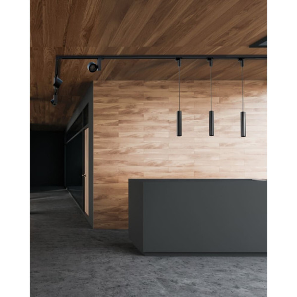 Адаптер Nowodvorski 8281 Ctls Adapter For Cameleon System IP20 Bl - фото №1