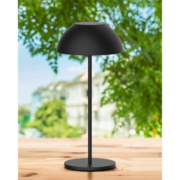 Светильник уличный портативный Goldlux 329950 Tanzania LED 1x1,8W 2700K 160Lm IP44 черный - фото №1