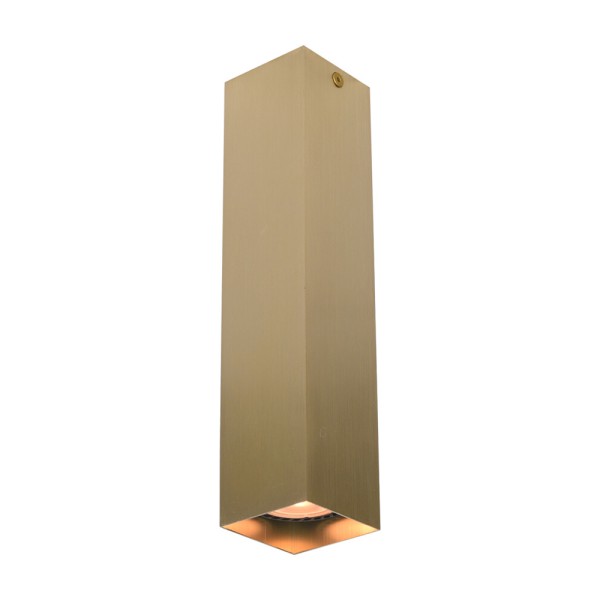 Точковий світильник Italux CLN-28394-L-GD Ander GU10 1x10W IP20 латунний