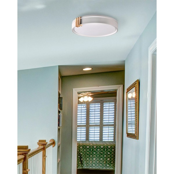 Люстра із пультом світлодіодна, стельовий світильник Goldlux 328847 Arletta LED 1x48W 3000K/4000K/6000K 5200Lm IP44 сіра - фото №1