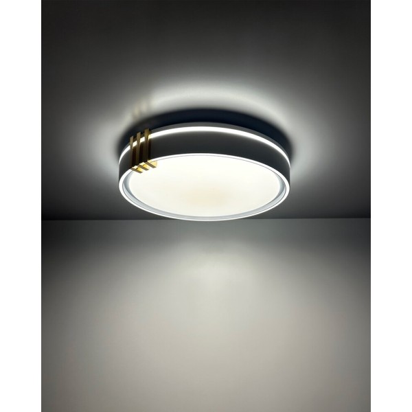 Люстра із пультом світлодіодна, стельовий світильник Goldlux 328847 Arletta LED 1x48W 3000K/4000K/6000K 5200Lm IP44 сіра - фото №2