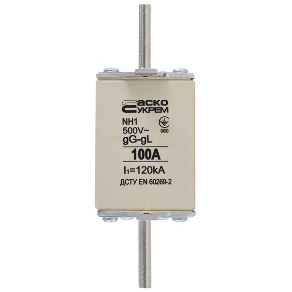 Запобіжник Аско-Укрем NH1 100A gG (A0050010028)